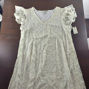 Dana Buchman Ivory Lace Lined Stretch Dress Size L
